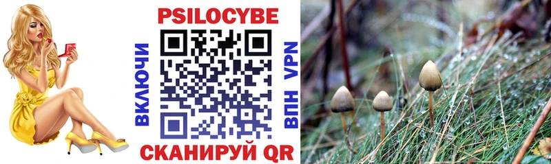 Купить  Балей  Галлюциногенные грибы Psilocybine cubensis 